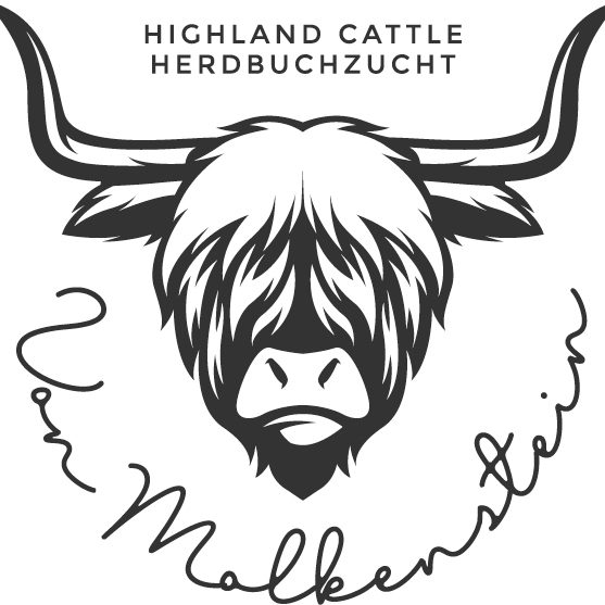 Highland Cattle von Molkenstein